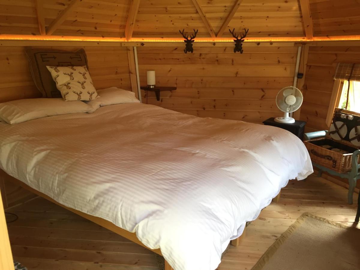 Culvers House Cattistock Екстериор снимка